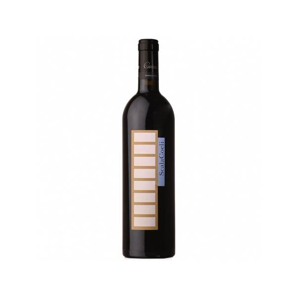Cartuxa Scala Coeli Petit Verdot 2019 Tinto 75cl